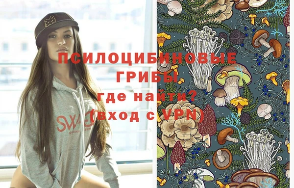 стафф Богданович